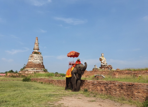 世界遺産アユタヤ_象乗り体験
